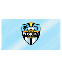 SFFA Towel