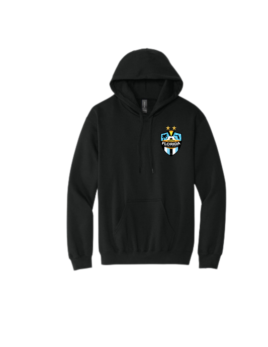SFFA Faded Out Hoodie