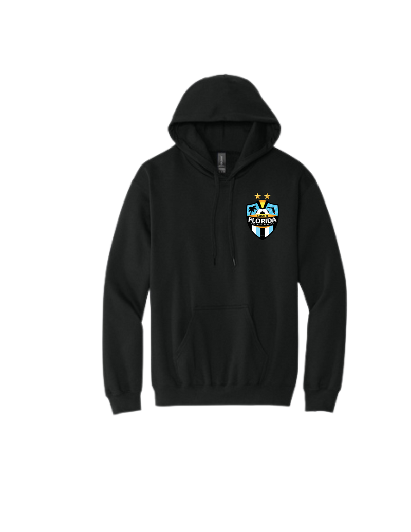 SFFA Faded Out Hoodie