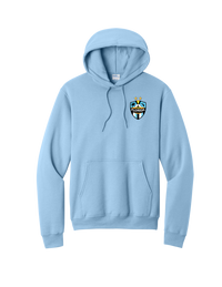 SFFA Faded Out Hoodie